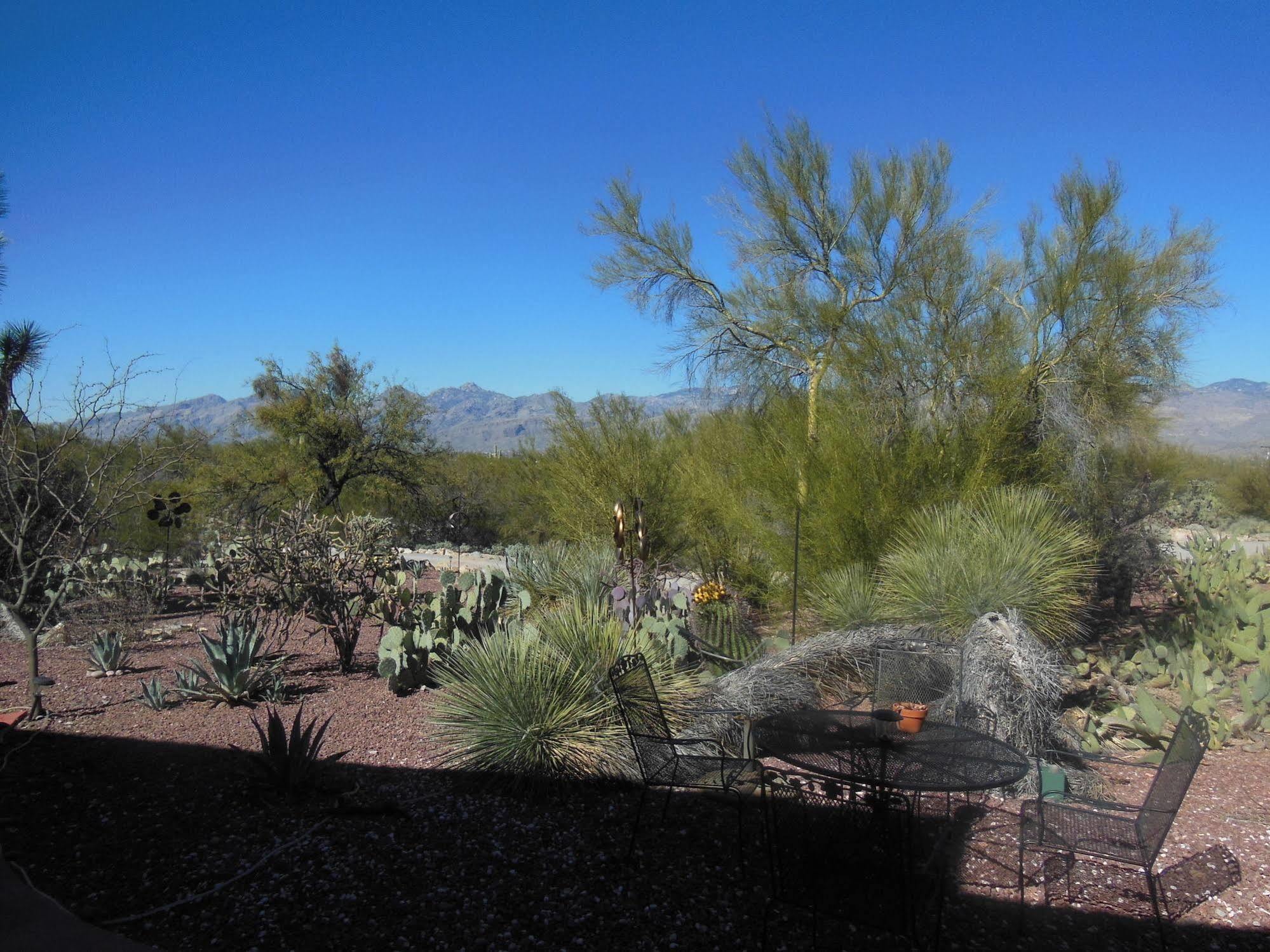 The Suncatcher Fine Country Inn Tanque Verde Exterior foto
